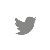 Twitter Icon